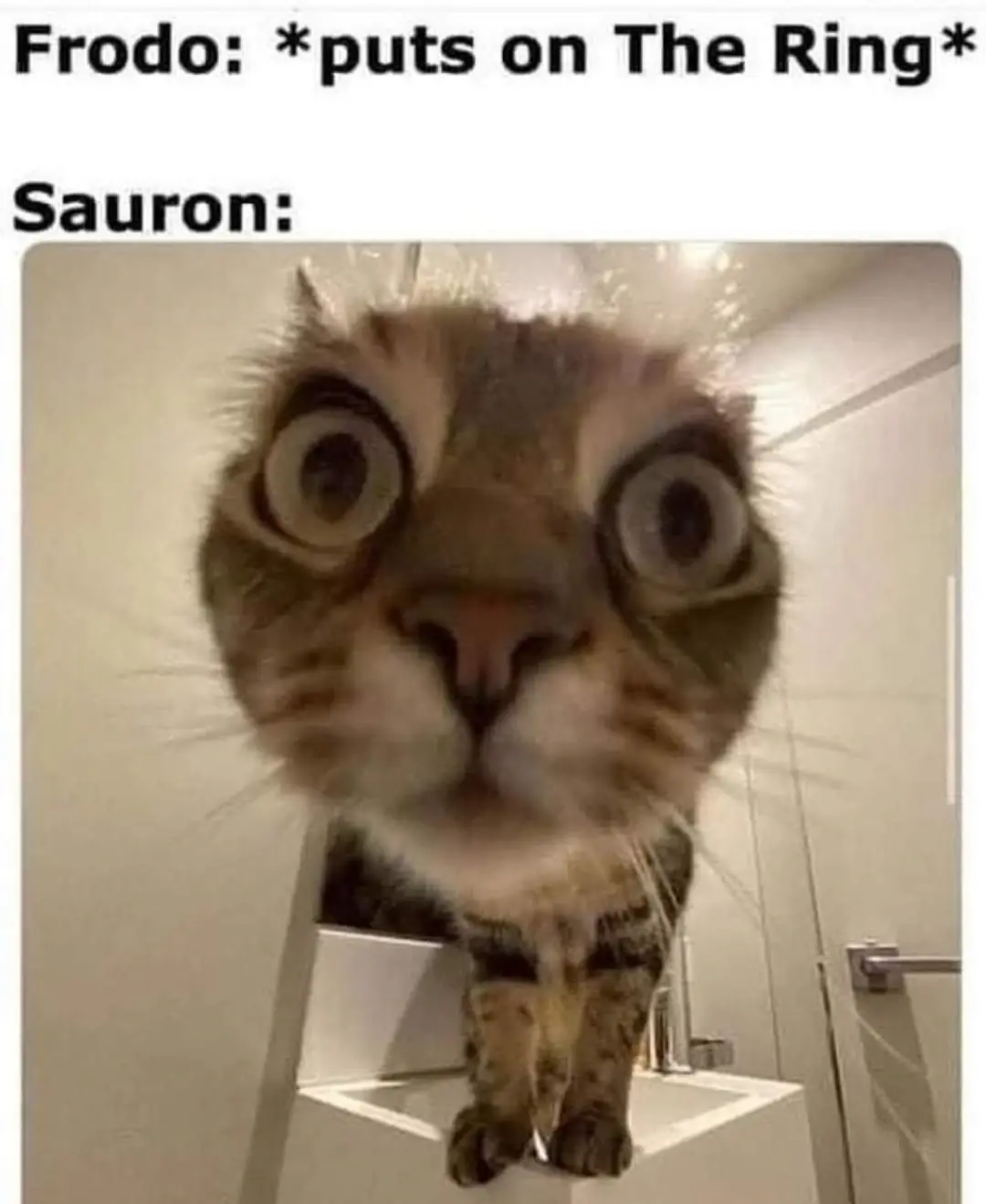I SEE YOU