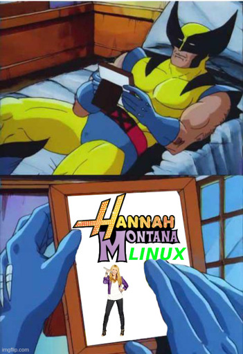 Wolverine Remember meme. He is laying on bed looking at a picture frame. The picture frame shows the logo of Hannah Montana Linux.